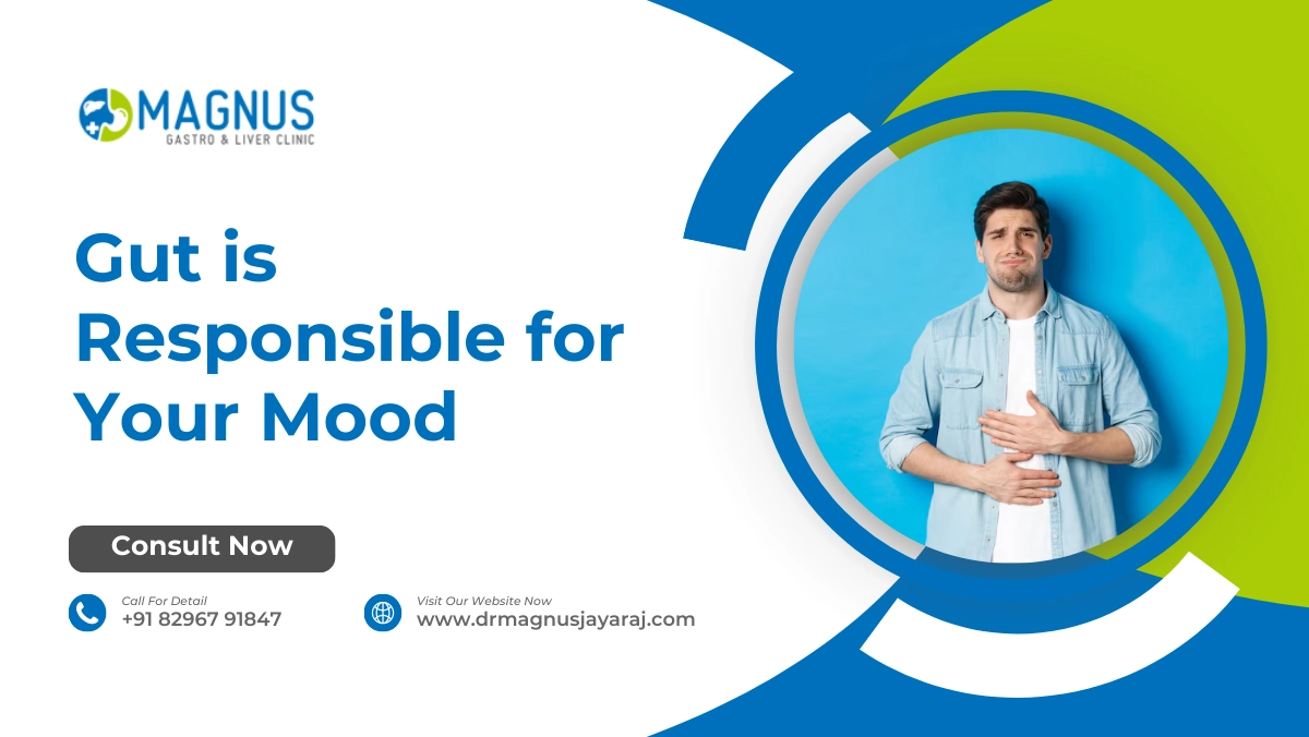 Gut is Responsible for Your Mood