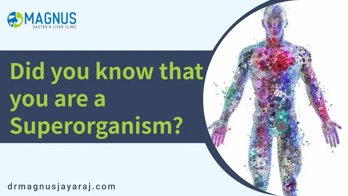Did you know that you are a Superorganism?