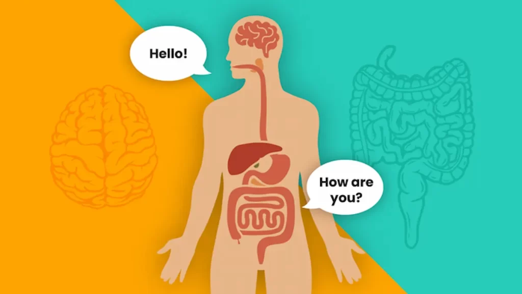 Is your gut responsible for your mood - Gut brain axis