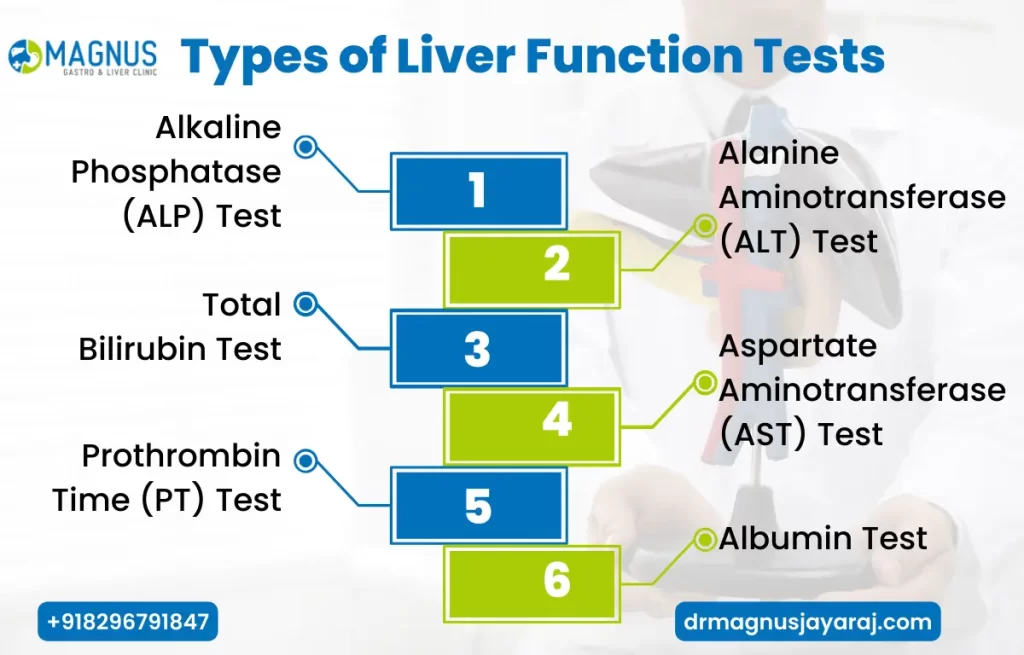 What Is A Liver Function Test 3 Types Purpose Results