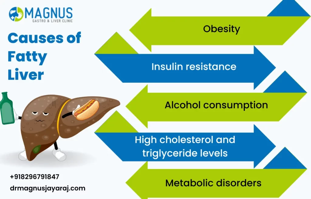 Causes and Symptoms of Fatty Liver