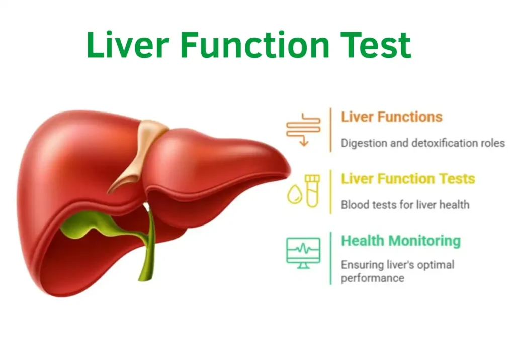 Liver function test in Chennai