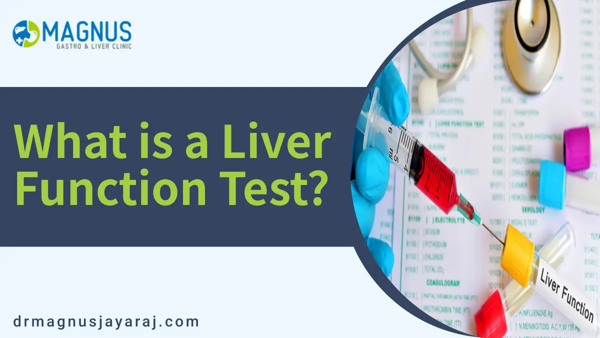 What is a Liver Function Test?