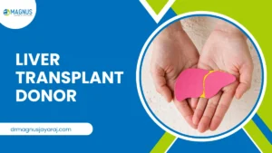 Liver Transplant Donor