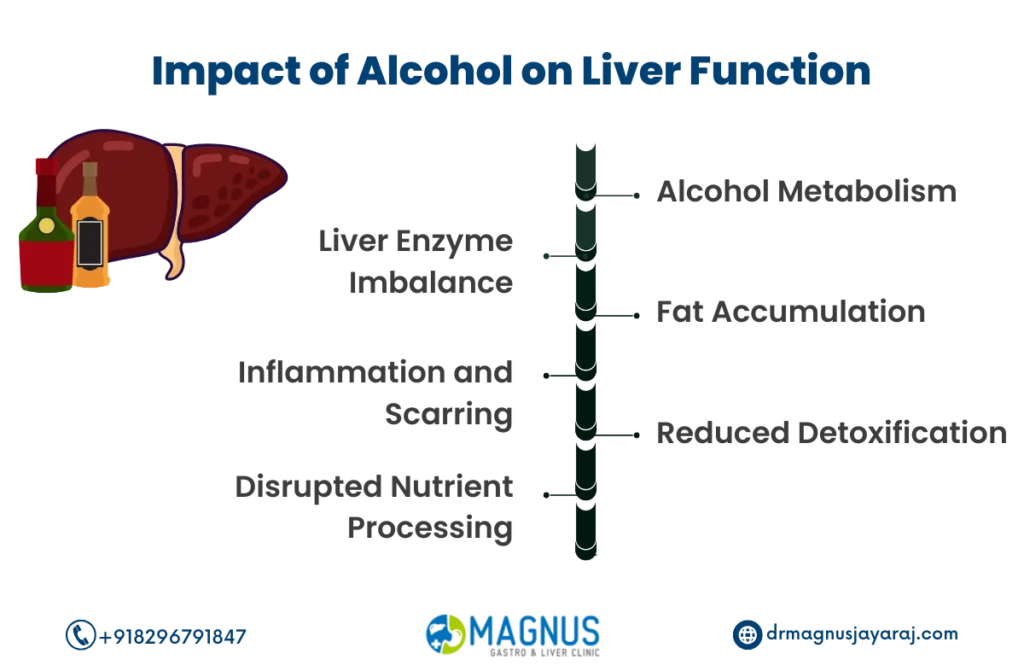 how alcohol affects your liver