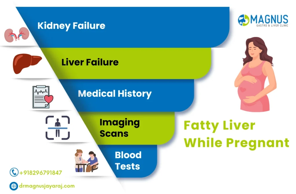 Fatty Liver While Pregnant