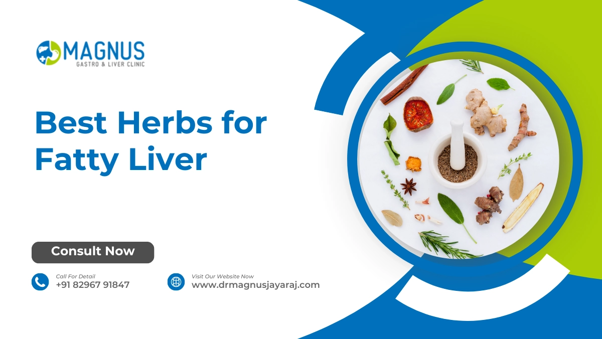 Best Herbs for Fatty Liver