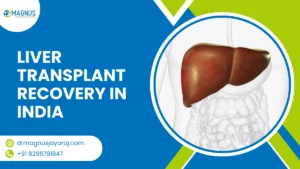 Liver Transplant Recovery In India