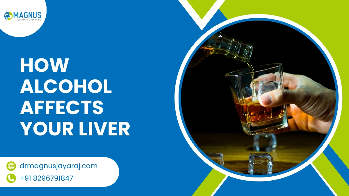 How Alcohol Affects Your Liver