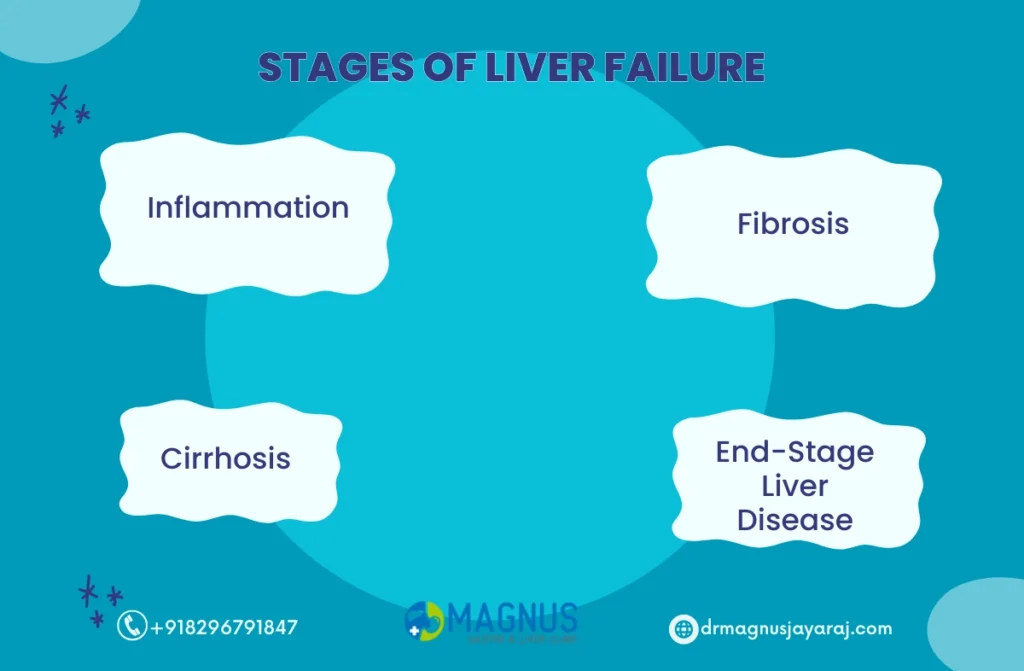 can you live without your liver