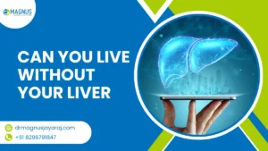 can you live without your liver