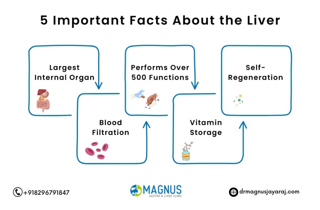 Liver Transplant Facts