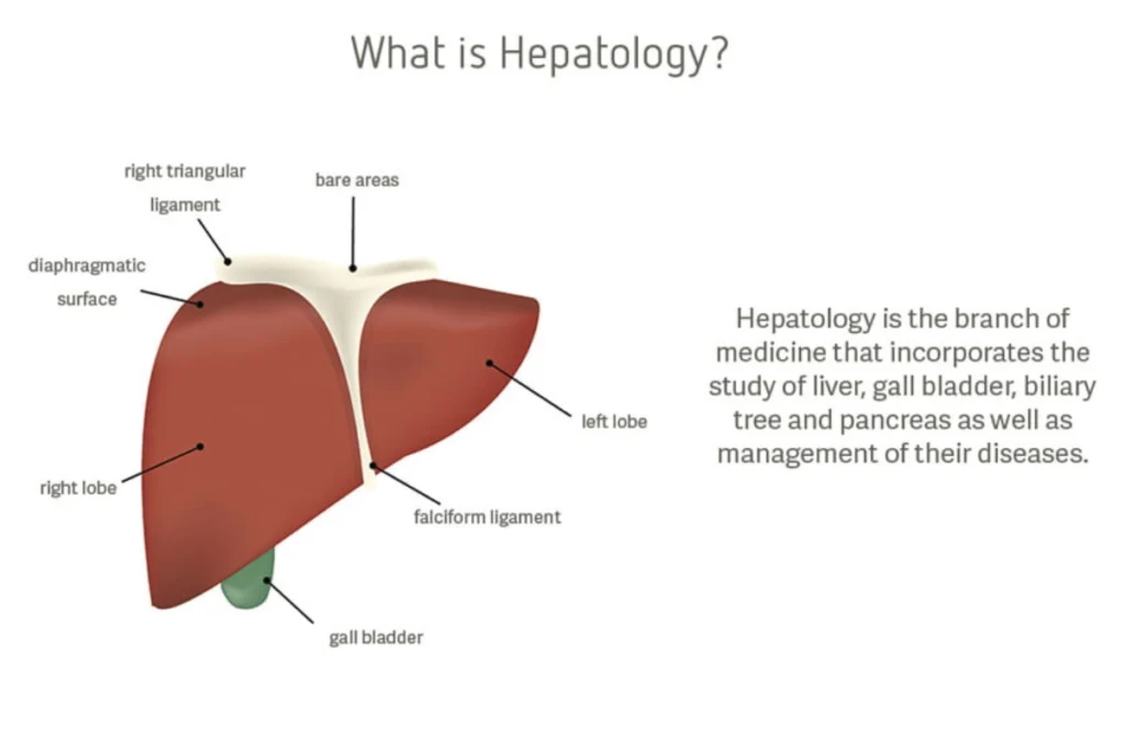 Best Hepatologist in Chennai