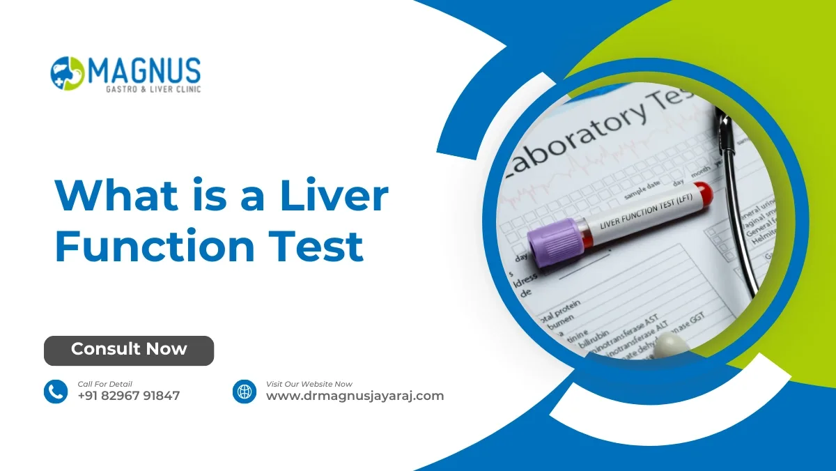 what is a liver function test