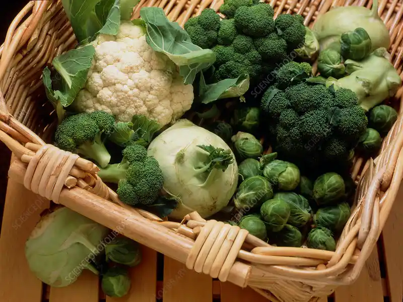 Cruciferous Vegetables