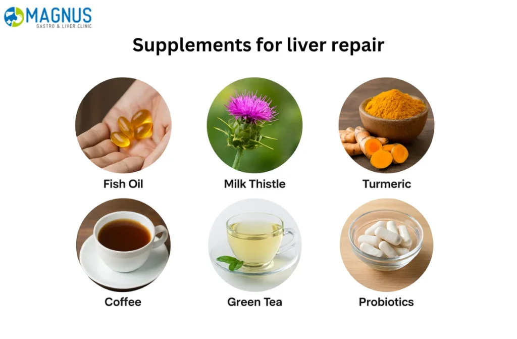 Best Supplements for Liver Repair